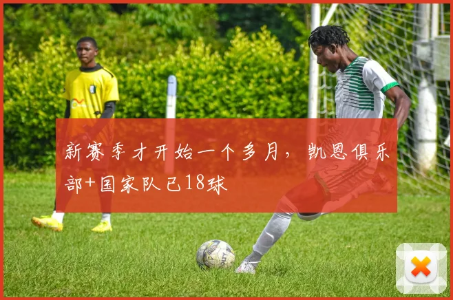 新赛季才开始一个多月，凯恩俱乐部+国家队已18球